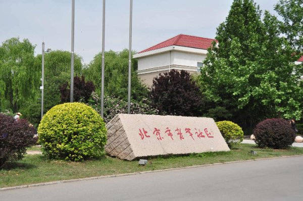 理员有技巧能搞定倔强的阿尔兹海默症长者？ 北京光大汇晨科丰老年公寓凯时尊龙最新网站到了饭点不张嘴生病了也死活不肯吃药哪家养老公寓护(图5)